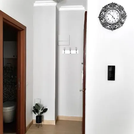 White By Solid