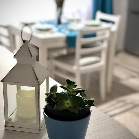 White By Solid
